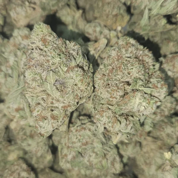 STRAWBERRY BUBBLES - STAFF PICKS - Flower
