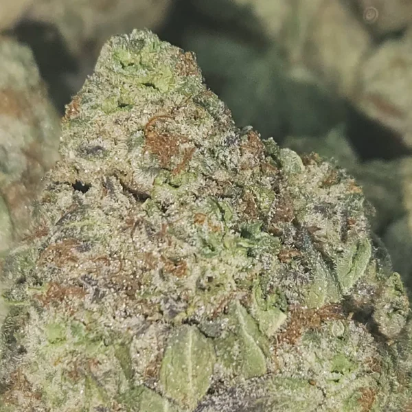 STRAWBERRY BUBBLES - STAFF PICKS - Flower - Image 2