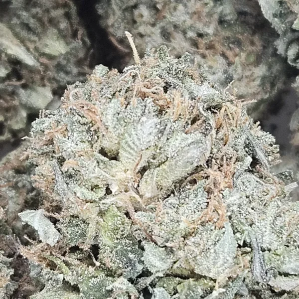 TANGIE - AAA - Flower - Image 2