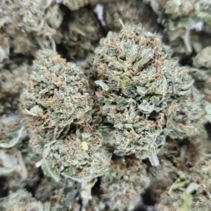TANGIE - AAA - Flower