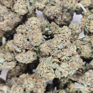 ACAPULCO GOLD - AAA - Flower