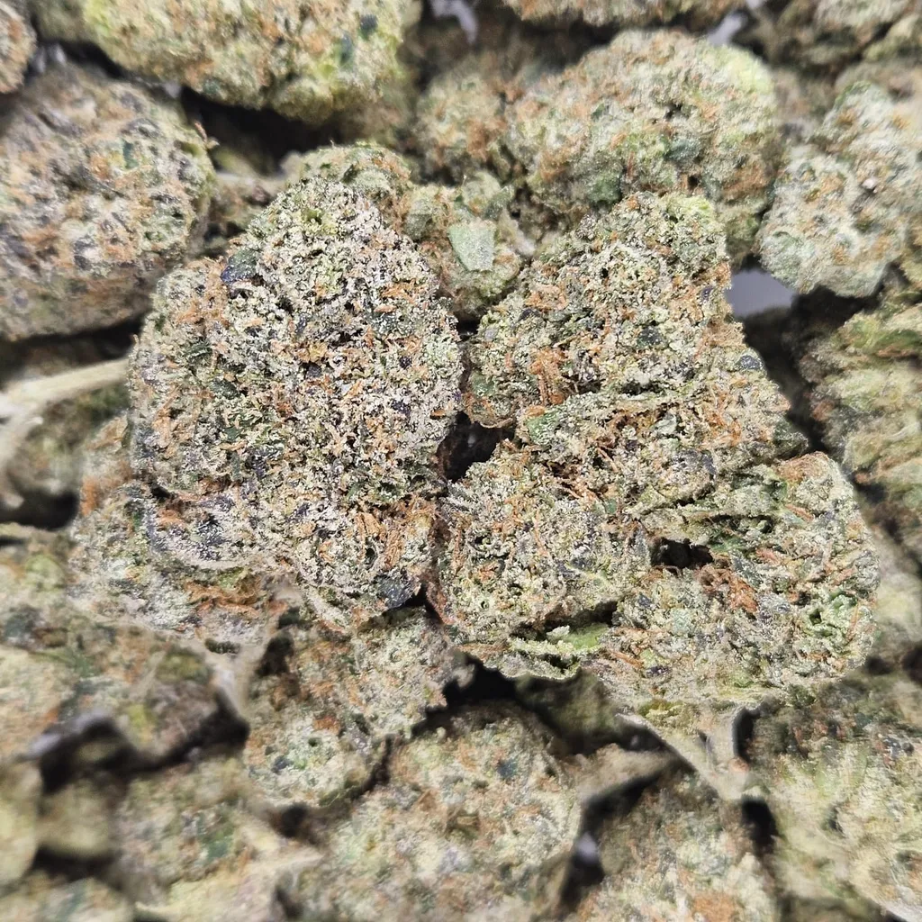 DO-SI-DOS - AAA - Flower